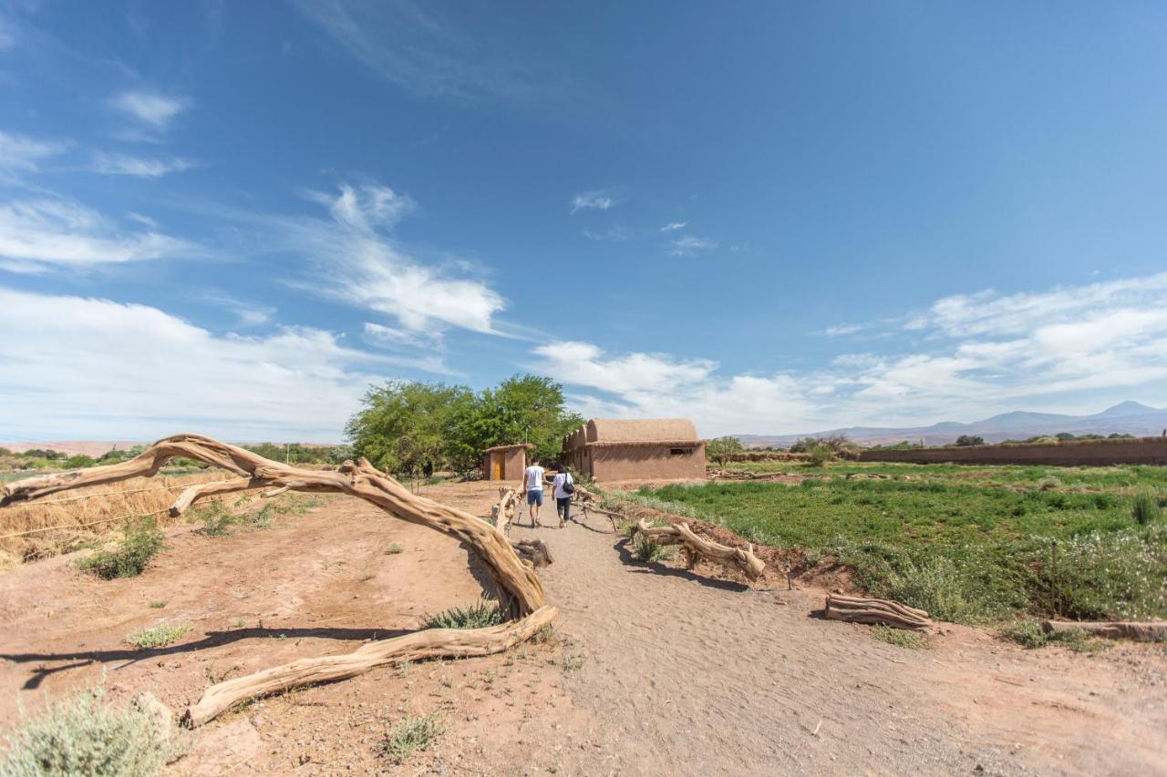 Planeta Atacama Lodge 산 페드로 데 아타카마 외부 사진
